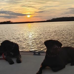 Meet your Posher, Bob